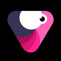 Velomingo APK APK